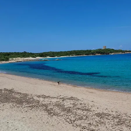 Hébergement de vacances Cala Rossa Village - Dream Terrace Sea Wiew Isola Rossa (Sassari)