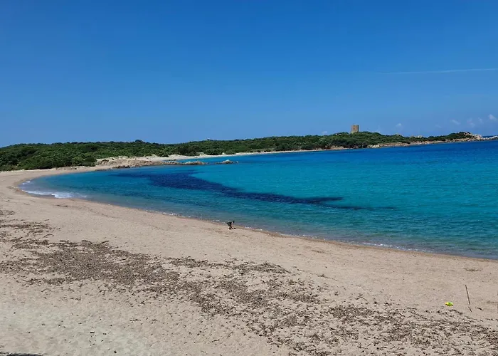 Tatil Evi Cala Rossa Village - Dream Terrace Sea Wiew Isola Rossa (Sassari)